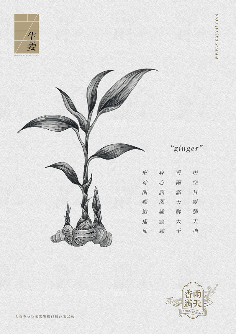 [ 香雨滿天 ] 保健茶平面包裝設(shè)計_茶葉包裝設(shè)計_平面包裝設(shè)計