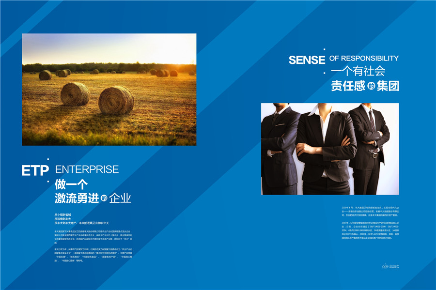 地產(chǎn)畫冊(cè)設(shè)計(jì)案例,集團(tuán)畫冊(cè)設(shè)計(jì)案例,豐大國(guó)際地產(chǎn)集團(tuán)畫冊(cè)設(shè)計(jì)